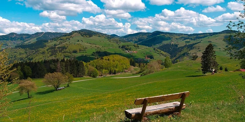 camping-freiburg-schwarzwald